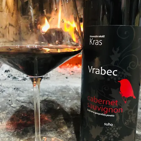 The House 1838 Villa *