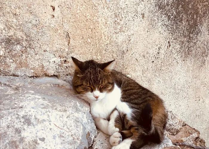 The House 1838 Вилла *